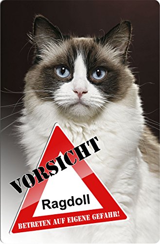 Nanyuk +++ Ragdoll Katze - Metall Warnschild Schild Katzenschild Sign - RGD 01 T3 von Nanyuk