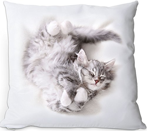 Nanyuk +++ SIBIRISCHE WALDKATZE Katze - Kuschelkissen/Kissen | Pillow/Kussen - SIB 10 Nanyuk +++ SIBIRISCHE WALDKATZE Katze - Kuschelkissen/Kissen | Pillow/Kussen - SIB 10 von Nanyuk