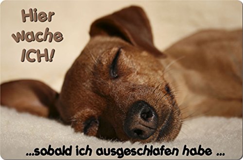 Nanyuk +++ Zwergpinscher Rehpinscher - Metall Warnschild Schild Hundeschild Sign - ZWP 07 T15 von Nanyuk