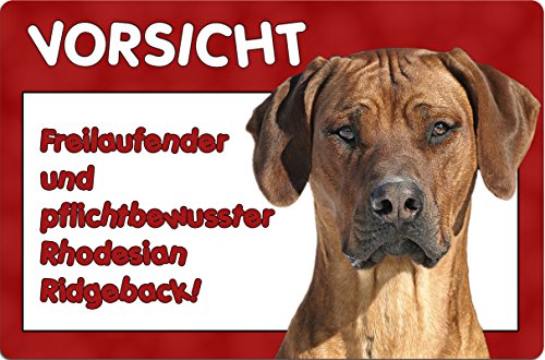 +++ RHODESIAN RIDGEBACK - Metall WARNSCHILD Schild Hundeschild Sign - RRB 20 T6 von Nanyuk