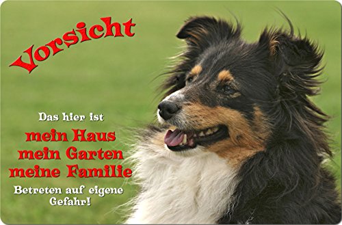 Nanyuk +++ Sheltie Shetland Sheepdog - Metall Warnschild Schild Hundeschild Sign - SHT 03 T1 von Nanyuk