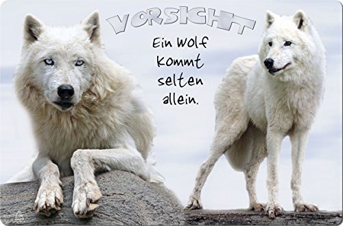 +++ Weißer WOLF Polarwolf - METALL WARNSCHILD SCHILD TÜRSCHILD SIGN - WLF 05 von Nanyuk