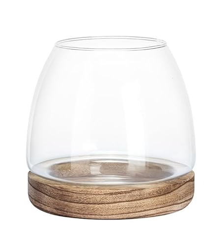 Napco Imports Runde Glasplatte mit Holzsockel, 15,2 x 9,5 cm, Pflanzen-Anzuchtvase oder Terrarium aus Glas und Holz Napco Imports Runde Glasplatte mit Holzsockel, 15,2 x 9,5 cm, Pflanzen-Anzuchtvase oder Terrarium aus Glas und Holz von Napco Imports