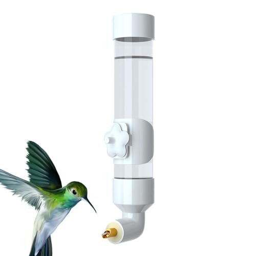 1/2 Birds Water Feeder – 300 ml Automatisches Vogelwasserfeeder, wetterfeste Vogel-Wasserstation | Große Dripfree Bird Drink Bottles, Solar-Powered Bird Bath mit Spout, Bird Water Bottle für kleine 1/2 Birds Water Feeder – 300 ml Automatisches Vogelwasserfeeder, wetterfeste Vogel-Wasserstation | Große Dripfree Bird Drink Bottles, Solar-Powered Bird Bath mit Spout, Bird Water Bottle für kleine von Naqqios