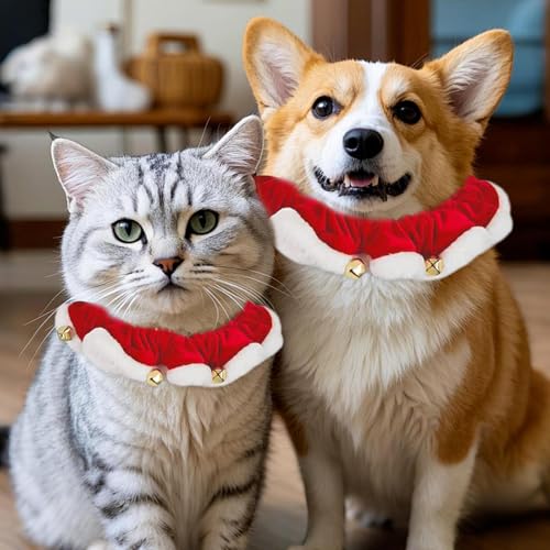 Feiertage Haustierkleidung - Saisonkatastarne, Weihnachtshundkragen | Haustierkatze Festliche Krawatte, Dehnbares Weihnachtshalsband Für Wandertraining Im Freien Im Innenbereich Home Backpacking Feiertage Haustierkleidung - Saisonkatastarne, Weihnachtshundkragen | Haustierkatze Festliche Krawatte, Dehnbares Weihnachtshalsband Für Wandertraining Im Freien Im Innenbereich Home Backpacking von Naqqios