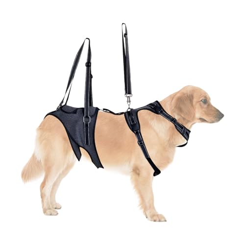 Ganzkörper-Hundegurtsystem | Hunde-Hebehilfe Mit Griffen,Verstellbare Tragehilfe Für Hunde Mit Bewegungseinschränkungen Verletzungen Rehabilitation Senioren Ganzkörper-Hundegurtsystem | Hunde-Hebehilfe Mit Griffen,Verstellbare Tragehilfe Für Hunde Mit Bewegungseinschränkungen Verletzungen Rehabilitation Senioren von Naqqios
