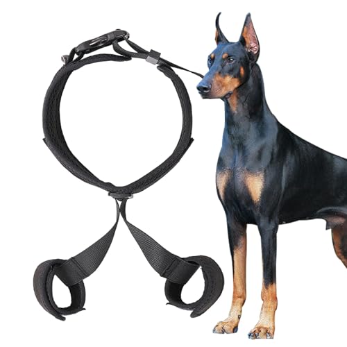 Hüftstütze für Hunde – orthopädische Hüftstütze für Hunde, verstellbare Neopren-Unterstützung | Haustier-Korrekturhilfe, atmungsaktive Hüfte Hüftstütze für Hunde – orthopädische Hüftstütze für Hunde, verstellbare Neopren-Unterstützung | Haustier-Korrekturhilfe, atmungsaktive Hüfte von Naqqios