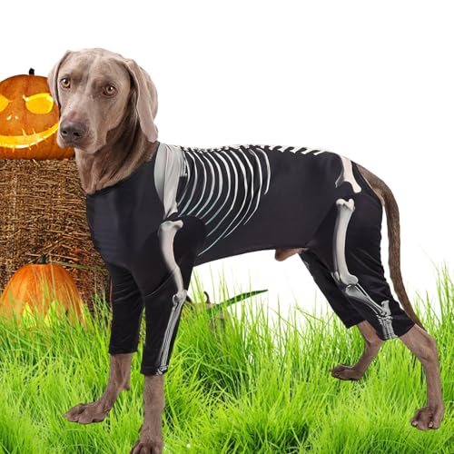 Kleinhunde Kostüm - Welpen -Skelettbodysuit, Halloween -Bekleidungs -Outfit | Festliches Haustier -Outfit, Feierlichkeiten Reisen Versammlungen Cosplay, Outdoor -Hausfreunde Tägliche Kostüm Accessoire von Naqqios