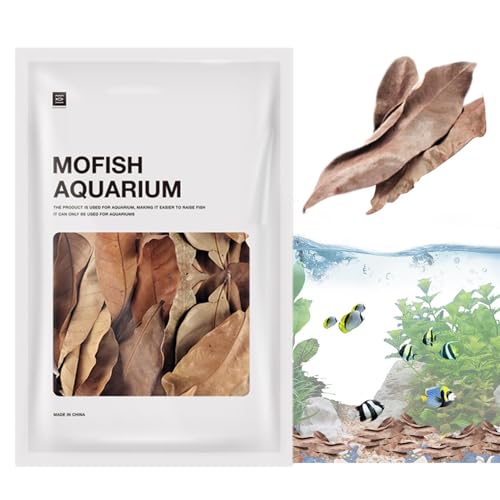 Longan Leaf Streu - Getrocknete Blätter Aquarium Natürliche Dekoration Wannen Unterschlupf Fische | Dekoratives Accessoire Natürliche Wasserumgebung Für Betta Biotop von Naqqios