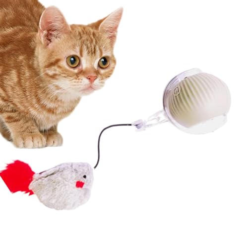 Naqqios Interaktiver Ball für Katzen – Katzenspielzeug mit rollendem Ball für Katzen im Innenbereich, automatischer Rollball für Katzen im Innenbereich | Intelligentes Spielzeug für GA Naqqios Interaktiver Ball für Katzen – Katzenspielzeug mit rollendem Ball für Katzen im Innenbereich, automatischer Rollball für Katzen im Innenbereich | Intelligentes Spielzeug für GA von Naqqios