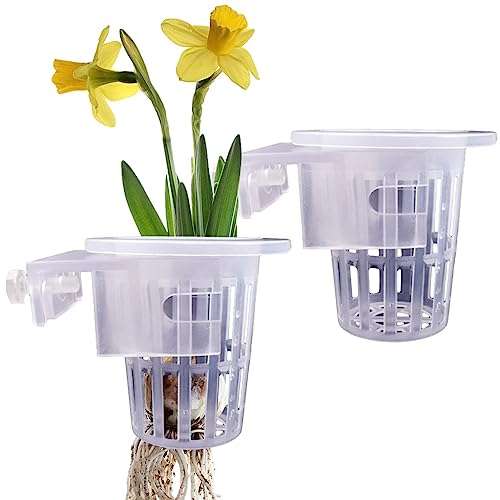 Naqqios Tasse für Aquarien – Aquariumhalter, Aquarium-Topf mit Löchern, Pothos-Halterung, transparent, für die Anzucht von Aquarien, Dekoration Naqqios Tasse für Aquarien – Aquariumhalter, Aquarium-Topf mit Löchern, Pothos-Halterung, transparent, für die Anzucht von Aquarien, Dekoration von Naqqios