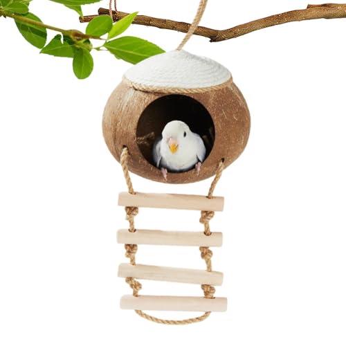 Natural Coconuts Shell Bird Nest, Kokosnuss Vogelhaus - Kokosnüsse Hangable Birdhouse | Hummingbird Hamsters Haustierkäfiglebensräume für Terrasse, Garten Natural Coconuts Shell Bird Nest, Kokosnuss Vogelhaus - Kokosnüsse Hangable Birdhouse | Hummingbird Hamsters Haustierkäfiglebensräume für Terrasse, Garten von Naqqios