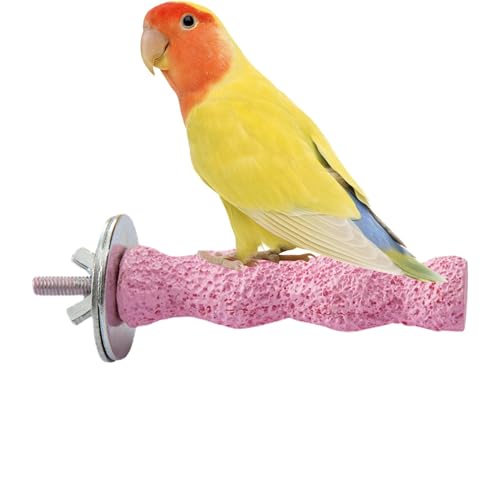 Papageienstockständer - Naturholzvogel Barch | Vogelpapagei Calcium Cage Mounter Vogelperch, Nicht rutscher Vogelbaumstock, Vogelstab für Cockatiels, Lorikeet, Conure, Sicht von Naqqios