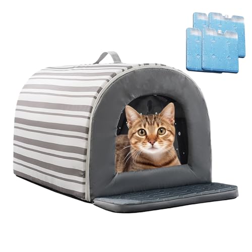 Summer Cat House - Innenhause im Innenbereich, Haustierkühlhaus | Katzenhitze House - Kühlung im Freien Katzenhaus, Ice Box Outdoor, Kühlung im Freien Katzenhaus, Eisbox Außenkühlung, isoliert Summer Cat House - Innenhause im Innenbereich, Haustierkühlhaus | Katzenhitze House - Kühlung im Freien Katzenhaus, Ice Box Outdoor, Kühlung im Freien Katzenhaus, Eisbox Außenkühlung, isoliert von Naqqios