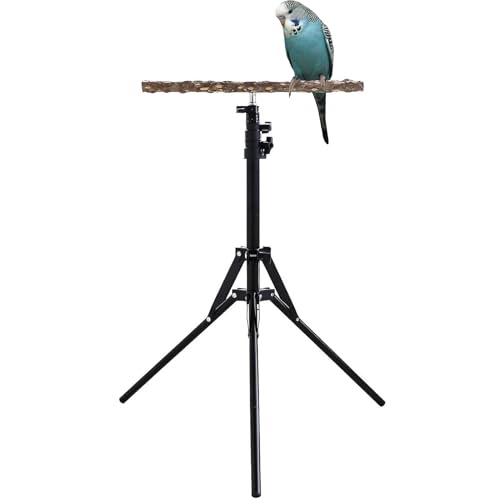 Verstellbare Vogelstangen - Verstellbarer Vogelperchständer | 15.74-61.81 Zoll Höhenhöhe Einstellbarer Papageienständer Für Große Vögel, Natürliches Holz-Barschspielzeug, Vogeltraining Barch S von Naqqios