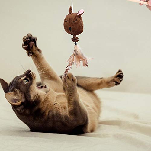 Hölzerne Plüschfeder Interactive Multiple Cat Wand Spielzeug, Cat Teaser Spielzeug, Stressabbau 3PCS Cartoon Wand Spielzeug für Haustier Spielzeug Welpe Haustier Katze von Naroote