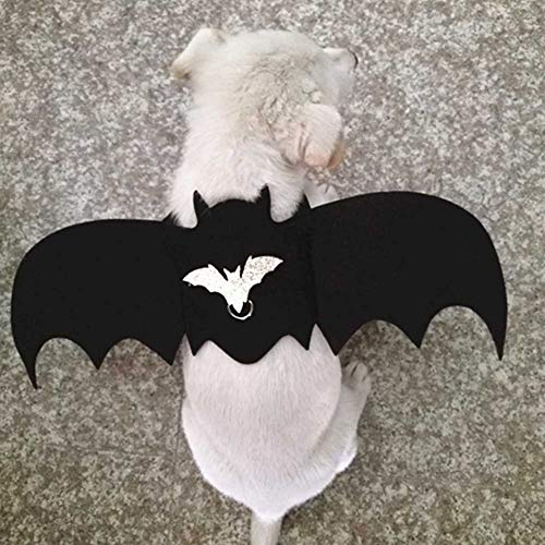 Hunde-Halloween-Kostüm, Hundeflügel, Katzen-Hundeflügel, Cosplay, Fledermaus-Kostüm, Haustier-Fledermausflügel, Katze, Hund, Fledermaus-Kostüm für Kleine, Mittelgroße und Große Hunde-Halloween-Kostüm, Hundeflügel, Katzen-Hundeflügel, Cosplay, Fledermaus-Kostüm, Haustier-Fledermausflügel, Katze, Hund, Fledermaus-Kostüm für Kleine, Mittelgroße und Große von Naroote
