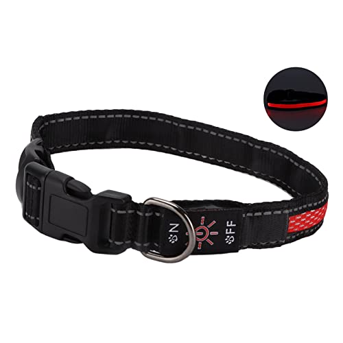 Leuchtendes Katzenhalsband, Leuchtende Hundehalsbänder, Wiederaufladbar, Leuchtet Im Dunkeln, LED-Hundehalsband, Leuchtendes Hundehalsband mit Reflektierenden Streifen für Leuchtendes Katzenhalsband, Leuchtende Hundehalsbänder, Wiederaufladbar, Leuchtet Im Dunkeln, LED-Hundehalsband, Leuchtendes Hundehalsband mit Reflektierenden Streifen für von Naroote