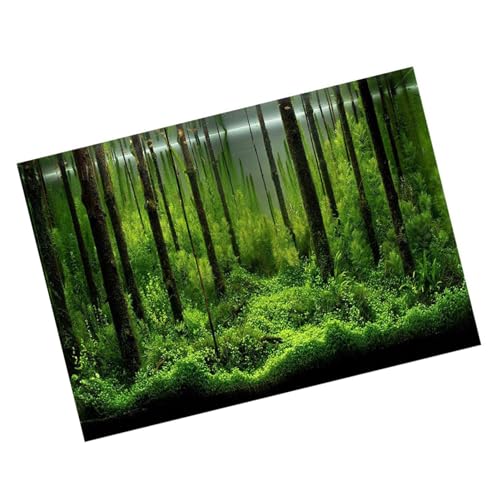 Naroote Aqrium-Hintergrund, 3D-Effekt, Wasserdichter Vordergrund, Unterwasser-Aquarium-Hintergrund, Poer-Dekoration, PVC-Klebeaufkleber (6130 cm) (61 * 41CM) von Naroote