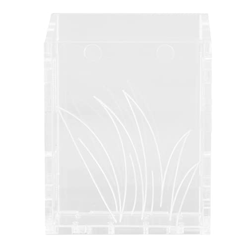 Aquarium-Pflanzgefäßhalter, Durchlässiges Loch, Schräg Geschnittenes Design, Schöner Transparenter Blumentopf aus Acryl für Fische Zur Dekoration (S) von Naroote