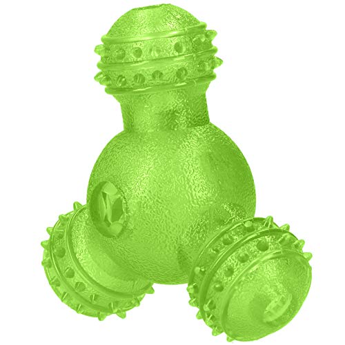 Naroote Haustiere Ball, Langlebiges Spielzeug für Hunde, Praktisch für Hundetier (Green) von Naroote