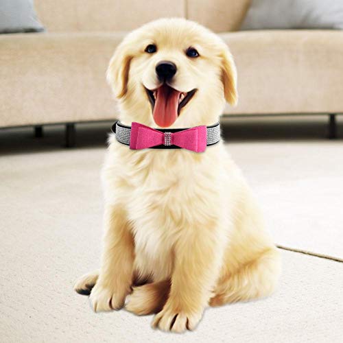 Naroote Hundehalsband, Hundegeschirr Soft Walk Collar Safety Strap mit Bowknot(L) von Naroote
