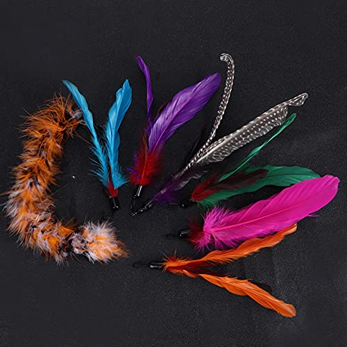Naroote Katzenfederspielzeug, Federspielzeug für Innenkatzen 7pcs Haustierkatze Teaser Dangler Spielzeugstangenstab Feder Ersatz Kopfkatzen Lieferungen Katzenspielzeugfeder für Alle Rassen und Arten von Naroote