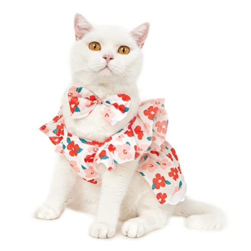 Naroote Princess Cat Dress, Atmungsaktives Baumwoll-Hundekleid, Einfach zu Tragen und Auszuziehen, Entzückend mit Schleife, Alltagskleidung für den Sommer (Blume M) von Naroote