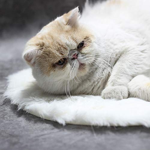 Naroote Tierische Elektrische Decke, Weiche wasserdichte Katzenheizkissen, Lange Plüsch Konstante Temperatur Zum Schlafen Halten Warmes Katzen Haustier (Weißer Nerz) von Naroote