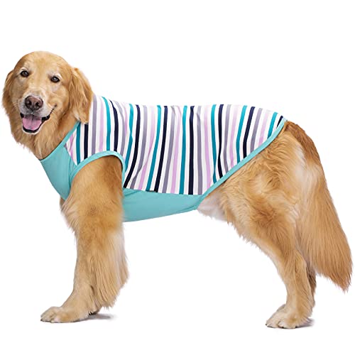 Haustier-Hunde-Shirt, Sommer-T-Shirt, Suncreen Weste, cooles atmungsaktives Kostüm für mittelgroße und große Hunde (30/3XL, blau) von NashaFeiLi