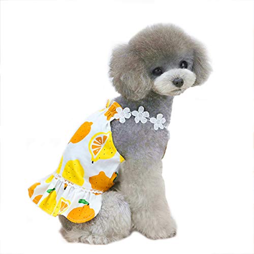 Haustier-Kleidung für Hunde, Prinzessinnenkleid, Zitronengelb, Tutu-Rock, Welpen-Kostüm für kleine Hunde und Katzen (S, weiß) von NashaFeiLi