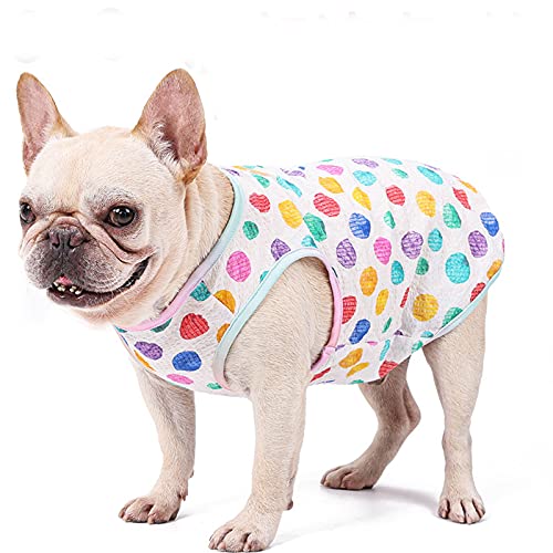 Haustier-Shirt, Katzen-Shirt, Regenbogenfarben, gepunktet, Weste, Sweatshirt für Hunde und Katzen, Größe M von NashaFeiLi