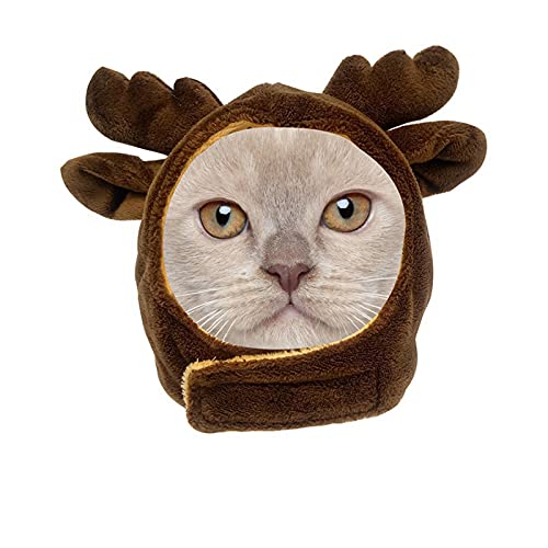 Haustiermütze Katze Hund Kopfbedeckung Cartoon Frosch Tiger Stirnband Verstellbares Kostüm für Katze Kätzchen Welpen (L, Elch) von NashaFeiLi