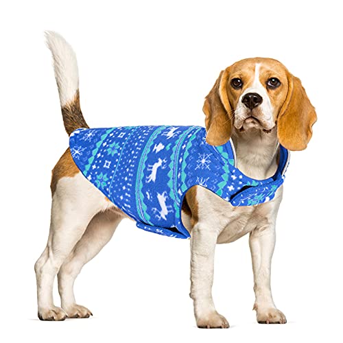 Hunde-Wintermantel, wendbar, warm, winddicht, Fleece, Bekleidung für Welpen, kleine, mittelgroße Hunde (XS, blau) von NashaFeiLi