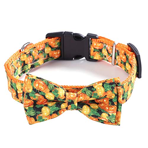 NashaFeiLi Halloween-Hundehalsband mit Fliege, verstellbares Halsband für Welpen, kleine und mittelgroße Hunde (M, Kürbis) von NashaFeiLi