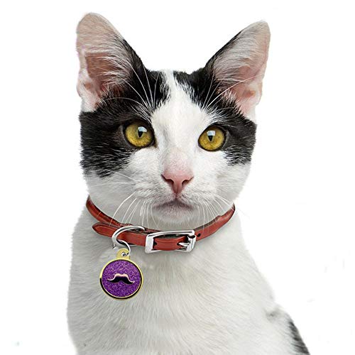NashaFeiLi Haustier-Erkennungsmarken für Hunde und Katzen, personalisierbar, runder Halsband, Anhänger, Zubehör von NashaFeiLi