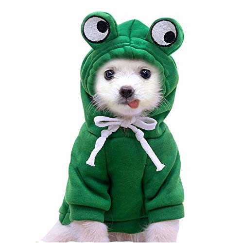 NashaFeiLi Haustier-Kleidung, Hunde-Pullover, Kapuzenpullover, Obst-Sweatshirt, Winter-Kostüm, für Welpen, kleine, mittelgroße und große Hunde (M, grüner Frosch) von NashaFeiLi
