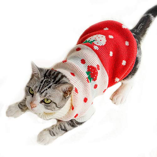 NashaFeiLi Haustier-Kleidung, Katzen-Pullover, kaltes Wetter, Strickwaren für Katzen, Kätzchen, Welpen (12#, rote Erdbeere) von NashaFeiLi