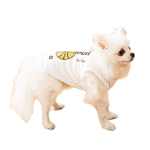 NashaFeiLi Haustier-Kleidung, Sommer-Hunde-T-Shirt, atmungsaktiv, dünn, für Welpen, kleine und mittelgroße Hunde von NashaFeiLi