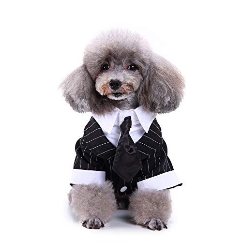 NashaFeiLi Haustier Kleidung Hund formelle Smoking Kostüm Gestreift Krawatte Hochzeit Party Kleidung für Welpen kleine Hunde von NashaFeiLi