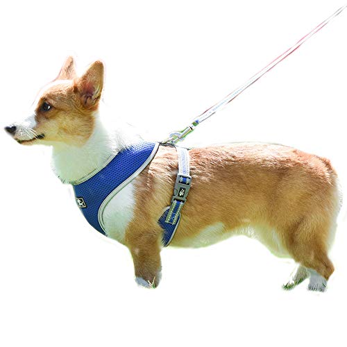 NashaFeiLi Haustiergeschirr, Hundegeschirr und Leine, reflektierend, verstellbar, Netzgewebe, atmungsaktiv, für Welpen, kleine und mittelgroße Hunde von NashaFeiLi