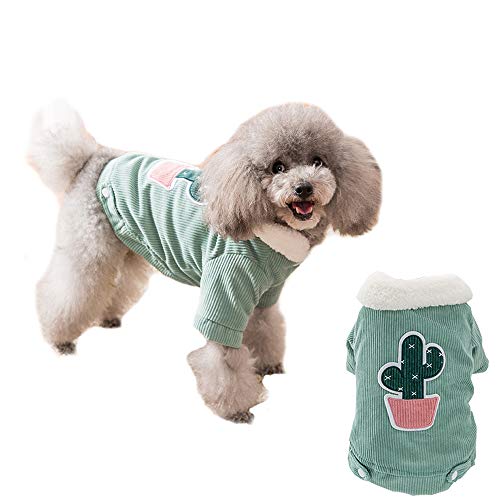NashaFeiLi Haustierkleidung, Hunde-Wintermantel, warme Jacke, kaltes Wetter, Kostüm für kleine Hunde (XS, grün) von NashaFeiLi