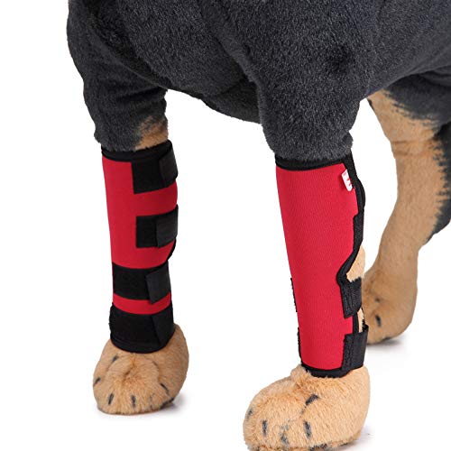 NashaFeiLi Hunde-Beinbandage, 2 Stück, für das Hinterbein des Hundes, mit Sprunggelenk, extra stützend, für Stabilitätsverlust (L, rot) von NashaFeiLi