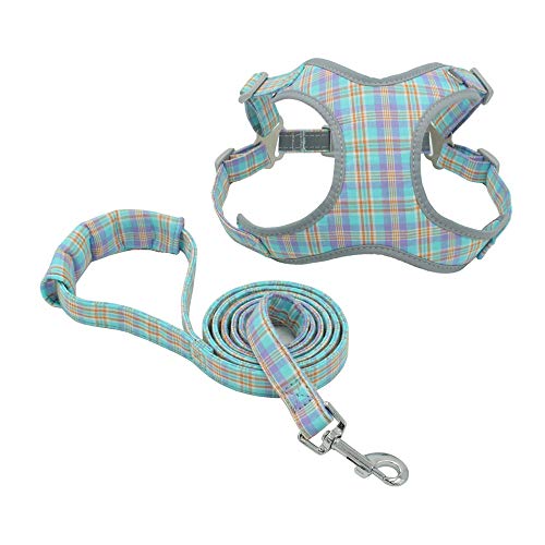 NashaFeiLi Hundegeschirr, Hundegeschirr und Leine, kein Ziehen, reflektierend, verstellbar, für Welpen, kleine, mittelgroße Hunde (XXS, blau) von NashaFeiLi