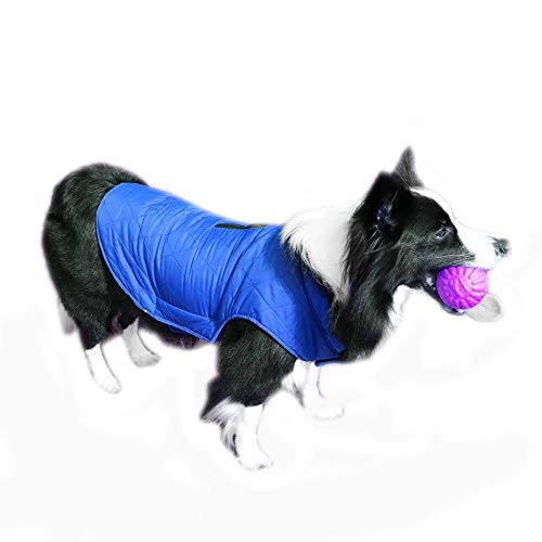 NashaFeiLi Hundemantel, Wintermantel, wasserdicht, wendbar, winddicht, warme Weste, Jacke für Welpen, kleine, mittelgroße und große Hunde (XL, blau) von NashaFeiLi