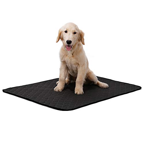 NashaFeiLi Pet Pee Pad, waschbare Trainingspads, saugfähige Decke für Welpen, kleine, mittelgroße und große Hunde von NashaFeiLi