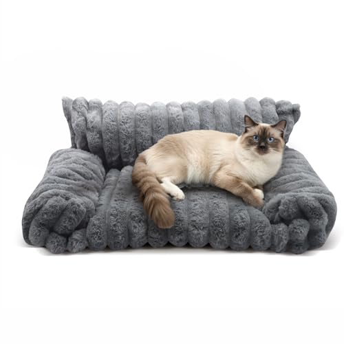 katzensofa klein | 60*45*20cm| | Cord | Katzensofa | Hundesofa | Orthopädisches Katzensofa| Waschbar | Rutschfeste | Weich Hundebett Kleine Hunde Katzencouch, Katzenbett Flauschig, Dunkelgrau katzensofa klein | 60*45*20cm| | Cord | Katzensofa | Hundesofa | Orthopädisches Katzensofa| Waschbar | Rutschfeste | Weich Hundebett Kleine Hunde Katzencouch, Katzenbett Flauschig, Dunkelgrau von Nastopee