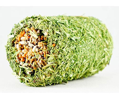 Der tunnel Samen und platanem 11 cm, Ham Anteil, snacks, Nagetiere Der tunnel Samen und platanem 11 cm, Ham Anteil, snacks, Nagetiere von Natalis