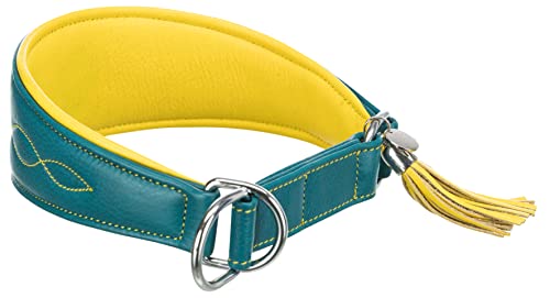 TRIXIE Active Komfort Windhunde Halsband Größe S–M: Halsumfang 33–42 cm/60 mm in petrol/gelb- extra breites Hundehalsband für kleine bis mittelgroße Hunde, schützt den Kehlbereich, unterfüttert,18968 TRIXIE Active Komfort Windhunde Halsband Größe S–M: Halsumfang 33–42 cm/60 mm in petrol/gelb- extra breites Hundehalsband für kleine bis mittelgroße Hunde, schützt den Kehlbereich, unterfüttert,18968 von TRIXIE