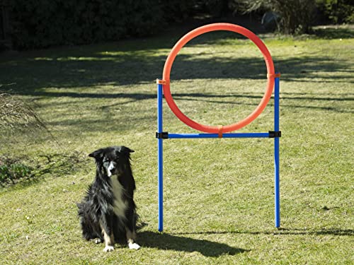 NATIV großer Sprungring für Hunde, Durchmesser 70cm, höhenverstellbar, mit Tragetasche von NATIV